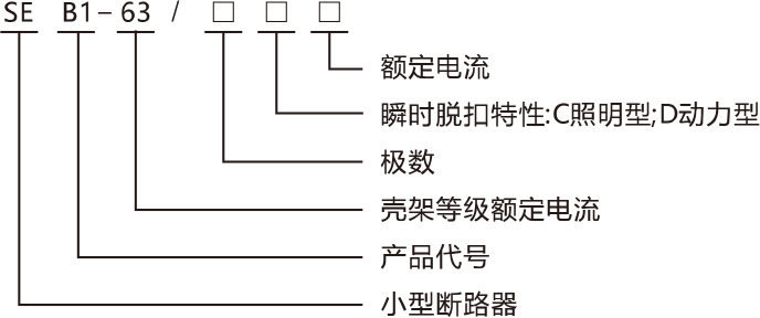 SEB1 L- 63系列漏電斷路器產(chǎn)品命名規(guī)則.jpg