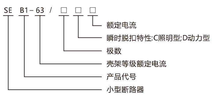 SEB1-63小型斷路器產品命名規(guī)則.jpg